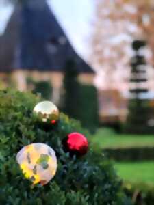 Vacances de Noël : Atelier créatif aux Jardins d’Eyrignac - Lanterne végétale de Noël