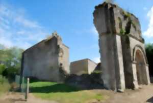 photo Conférence : les fontaines miraculeuses