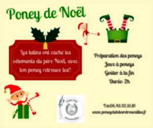 Poney de Noël