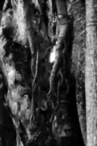 photo Exposition artistique