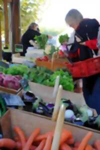 Marché traditionnel