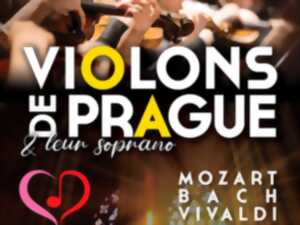 photo CONCERT - VIOLONS DE PRAGUE