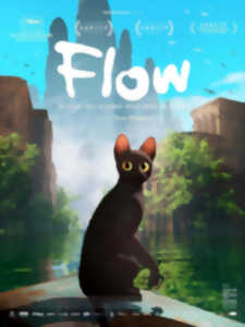 CINÉCO : FLOW