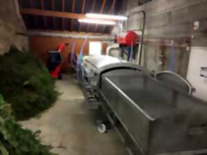 Visitez la distillerie d'huiles essentielles