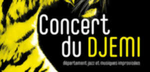 photo Concert du DJEMI #2