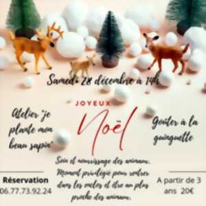 photo Joyeux Noël à la Ferme de Coussoulat