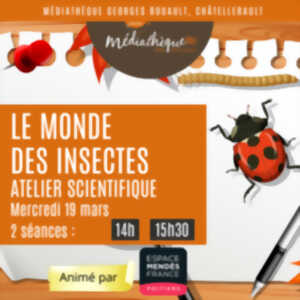 Le monde des insectes : atelier scientifique