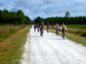 photo Les Mardis Découverte du printemps VTT- VTC