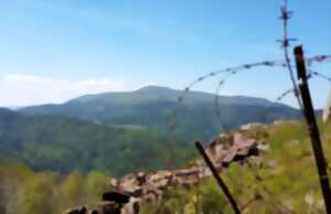 Visite guidée du champ de bataille du Hartmannswillerkopf, boucle 1