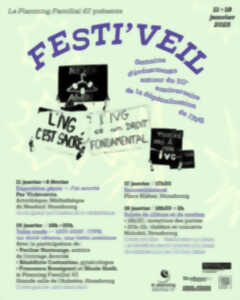 photo Festi'Veil