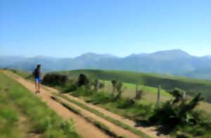 photo Randonnée accompagnée en langue basque