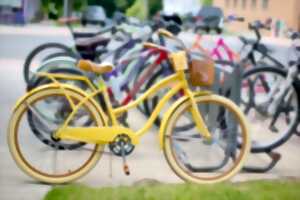 photo Bourse aux vélos et matériels