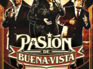 Spectacle - Pasión de Buena Vista