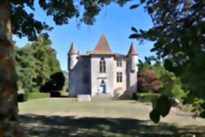 photo Visite Historique et Architecturale du Château datant du 12è siècle