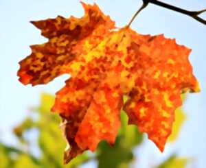 photo Atelier nature pour les moins de 3 ans : Les tout-petits en sortie