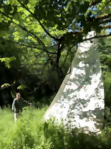 Promenade-découverte au jardin d'hélys-oeuvre