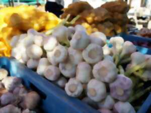 photo Marché de Château-la-Vallière