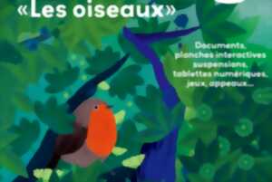 photo Exposition : Les Oiseaux