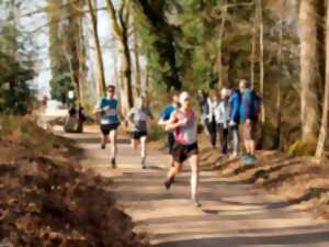 Trail des terroirs et ses randos gourmandes