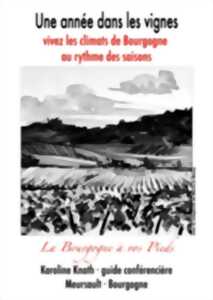 Balade viticole à Meursault : chronique d'une catastrophe annoncée, le phylloxéra