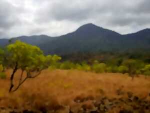 ciné-conférence : la Guyane