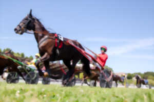 photo Courses hippiques Trot/Plat