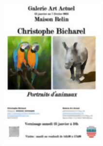 photo EXPOSITION DE CHRISTOPHE BICHAREL