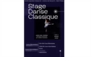 photo Stage de danse classique