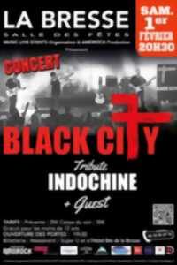 photo CONCERT TRIBUTE INDOCHINE