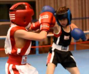 photo Championnat Départemental de Boxe Éducative à Trélissac