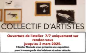 photo Exposition Les Baleines