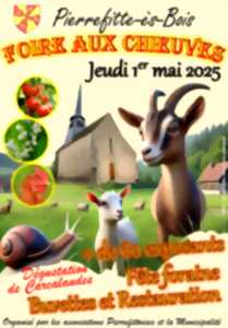 photo La Foire aux chieuves
