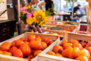 photo Marché de Quintaou