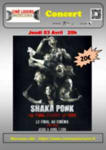 photo Concert Shaka Ponk 