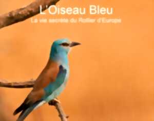 photo PROJECTION « L’OISEAU BLEU »