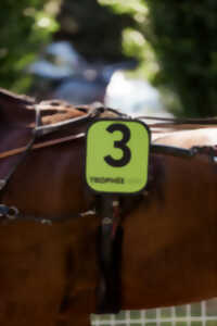 photo Courses hippiques Grande fete a l'hippodrome Trophée vert