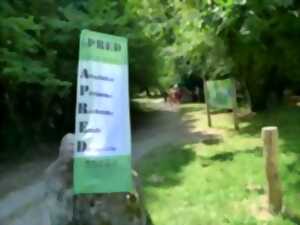 Visite des papeteries de Vaux, pont de Lasveyras, forges de Savignac Lédrier