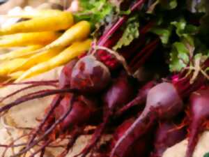 photo Atelier cuisine: les légumes du marché