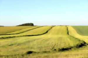 photo À la découverte de la prairie gagnante du 