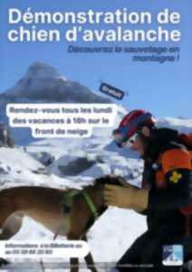 photo Démonstration de recherche avec un chien d’avalanche