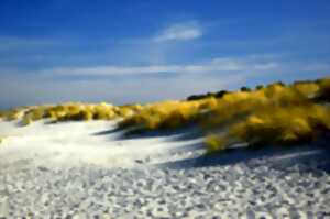 photo Surprenante dune du Gurp ! - Sur inscription