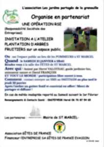 photo Atelier plantation d'arbres fruitiers sur espace public