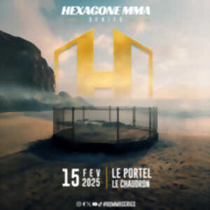 photo Hexagone Mma Series