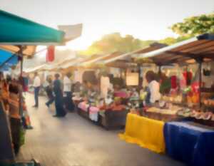 photo Marché aux puces Kembs