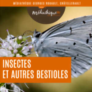 photo Insectes et autres bestioles : exposition