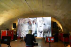 photo La Micro-Folie de la CAB | Conférence : le fer de l'habitat rural