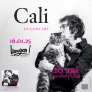 photo Concert : Cali à Niort