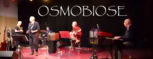 photo OSMOBIOSE EN CONCERT