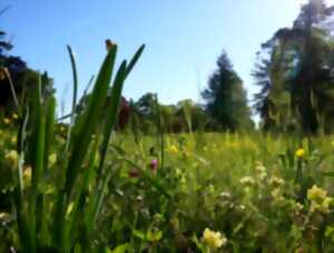 Sortie Nature avec Berry Nature Environnement