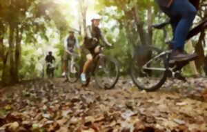 photo La Montrol-Sénard - randonnées pédestre et VTT